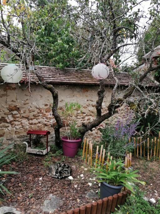 Saint-Sauveur-sur-Ecole Maison A Proximite De Barbizon / Fontainebleau / A6 מראה חיצוני תמונה